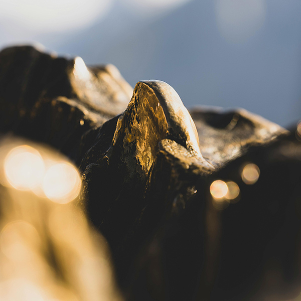 Pula Cost Consulting - Mining